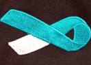 webassets/tealribbon.jpg
